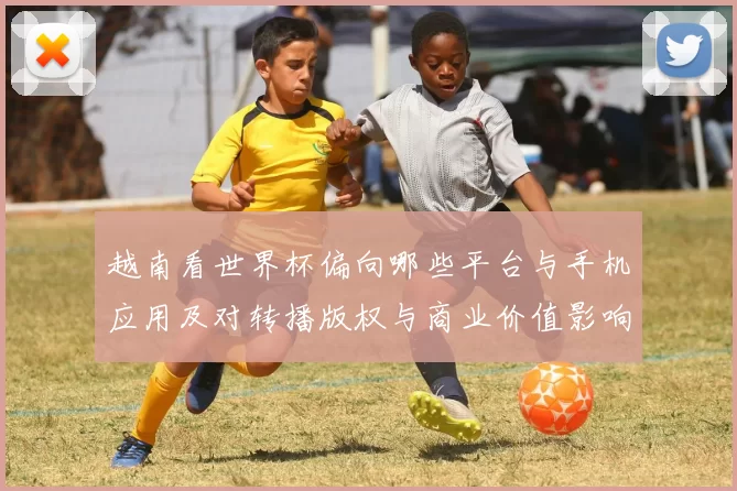 越南看世界杯偏向哪些平台与手机应用及对转播版权与商业价值影响